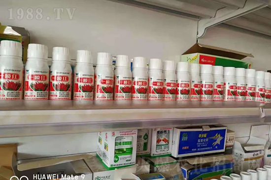 ���t�����95%���߼t�����~�����뷭�׷�����������һ���t��