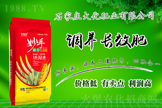 ��(zh��n)�Ժ�����������ʯ���f�󻯷ʘI(y��)�ٴκ��s1988.TV��