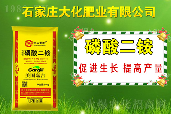 ��(zh��n)�Ժ�����������ʯ���f�󻯷ʘI(y��)�ٴκ��s1988.TV��