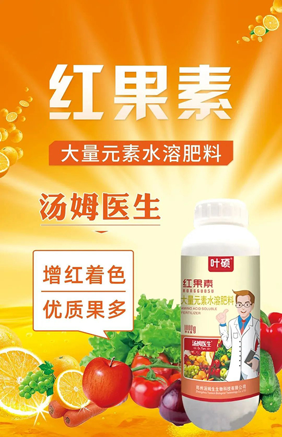 �t���ء�ֻ���D(zhu��n)ɫ�������D(zhu��n)ɫ���������߼t���ó���