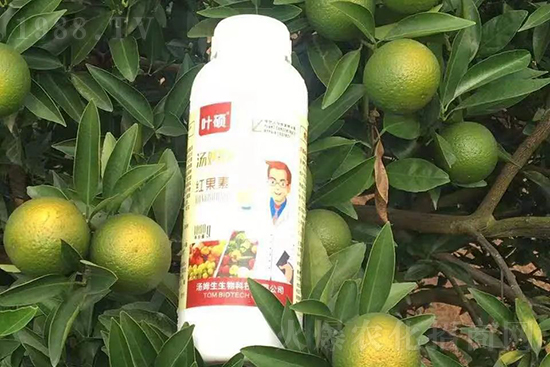 �t���ء�ֻ���D(zhu��n)ɫ�������D(zhu��n)ɫ�����ߣ��߼t���ó���