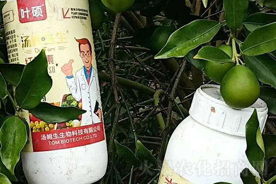 �t���ء�ֻ���D(zhu��n)ɫ�������D(zhu��n)ɫ���������߼t���ó���