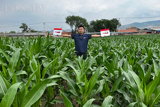 ��Դ������������I�B(y��ng)�a��ȫ����