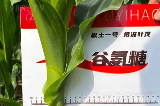 ��Դ������������I�B(y��ng)�a��ȫ����