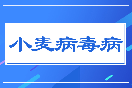 С��������