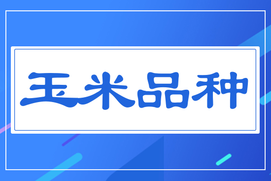 ����Ʒ�N