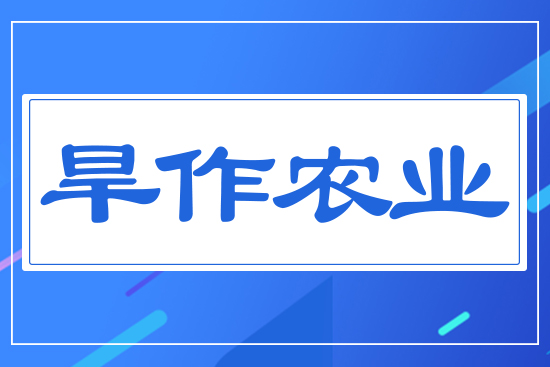 �����r�I(y��)