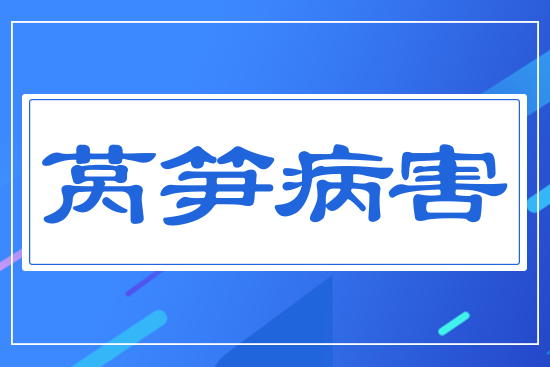 ���n�S����