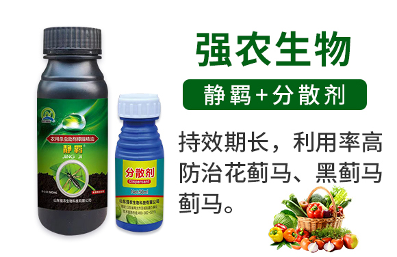 �o�b+��ɢ��-���r(n��ng)����_02