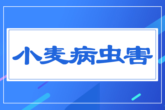 С�����x(ch��ng)��