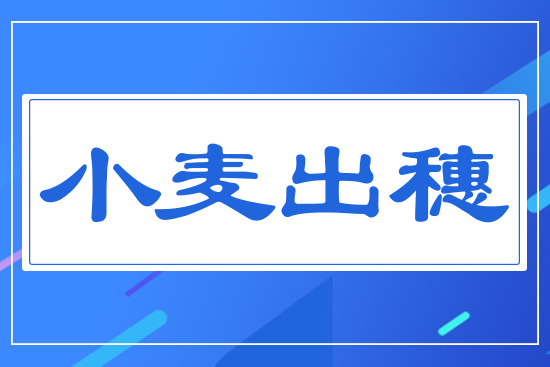 С������