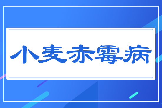 С����ù��