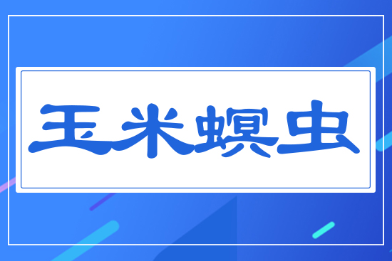 �������x