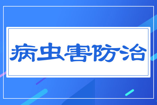 ���x������