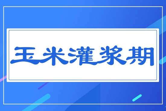 ���׹��{��