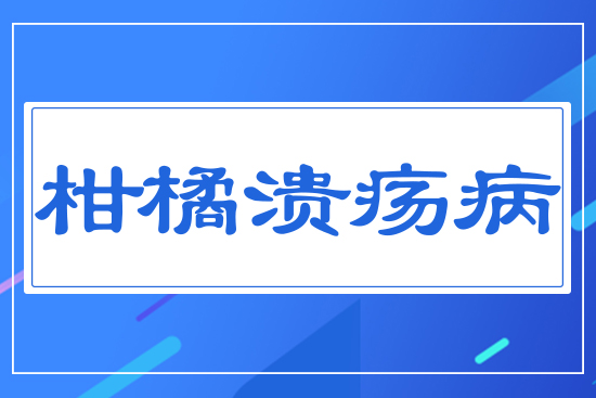 ���ٝ�����