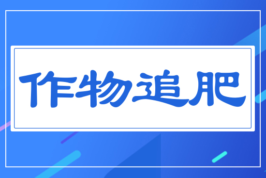 ����׷��