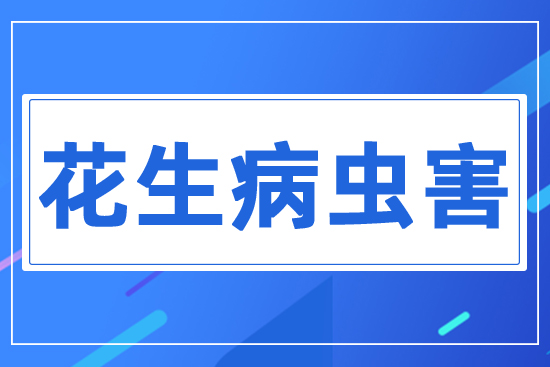 �������x��