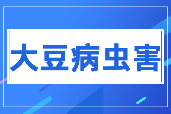 �󶹲��x��