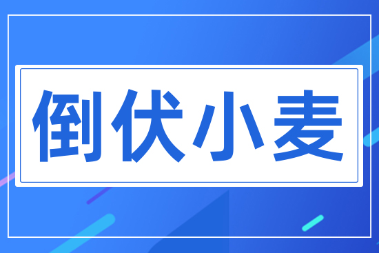 ����С��