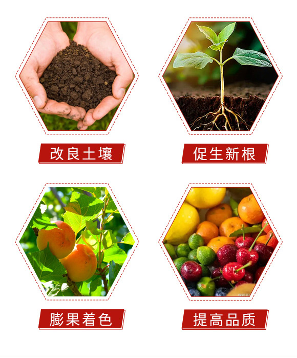 С�w��������-�����r(n��ng)�I(y��)_05