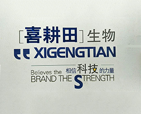 �����ϲ��������Ƽ����޹�˾