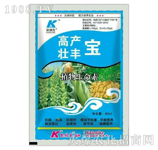 �߮a���S��-�P���