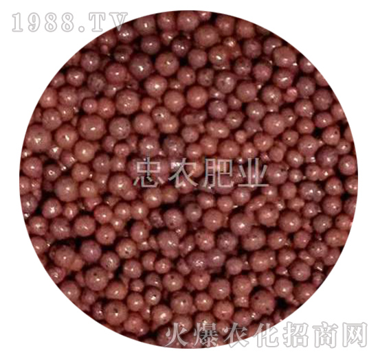 ����ɫ��֬�����ЙC��-���r�ʘI(y��)