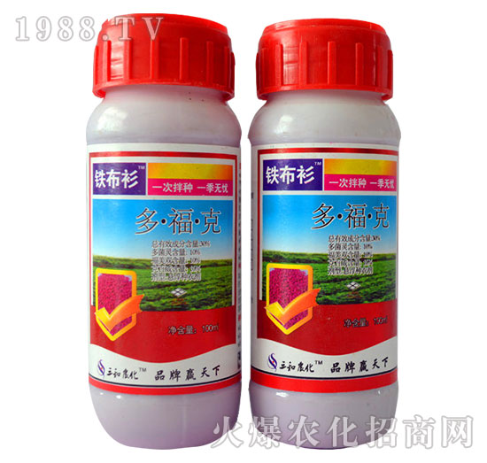 30%�����-�F����-�읙����