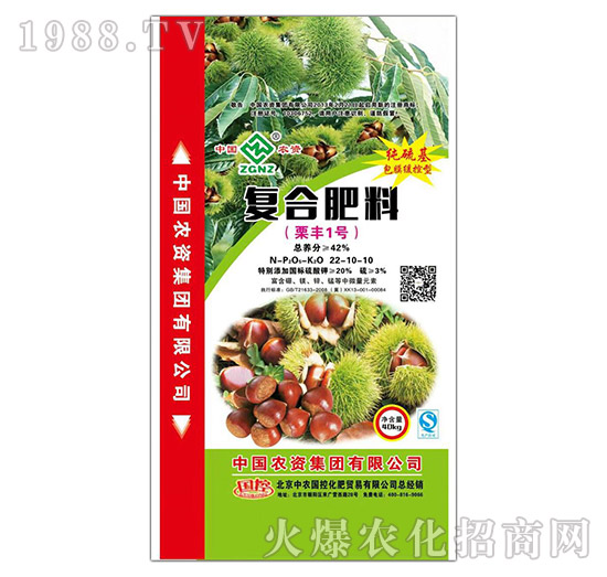 �ͺϷ���22-10-10-���S1̖-���r