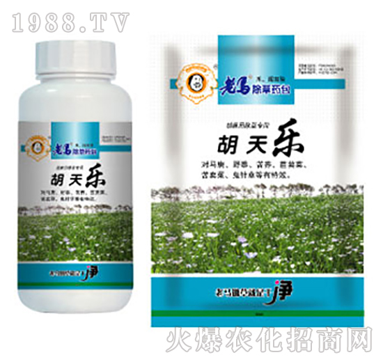 ���R����ˎ��-���옷-�����r�I(y��)