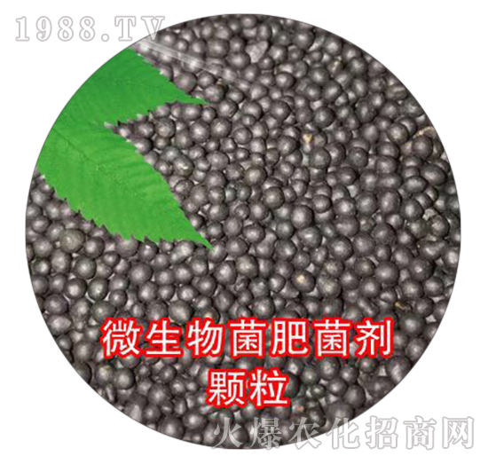 ΢������ʾ����w��-��ʢ���r(n��ng)