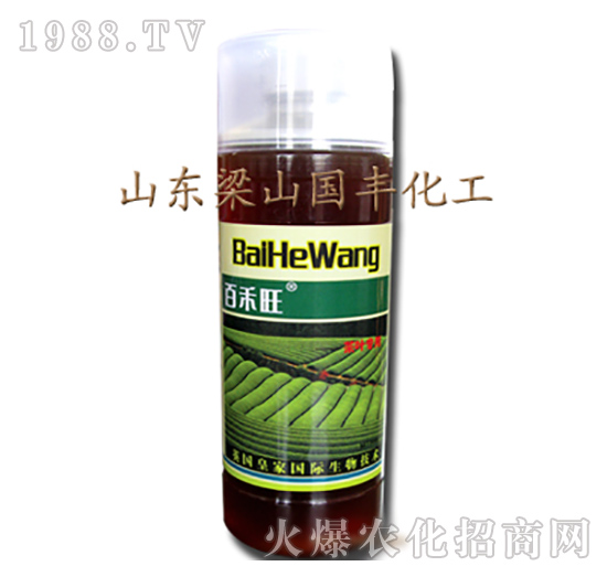 ���~�����~���-��ɽ���S