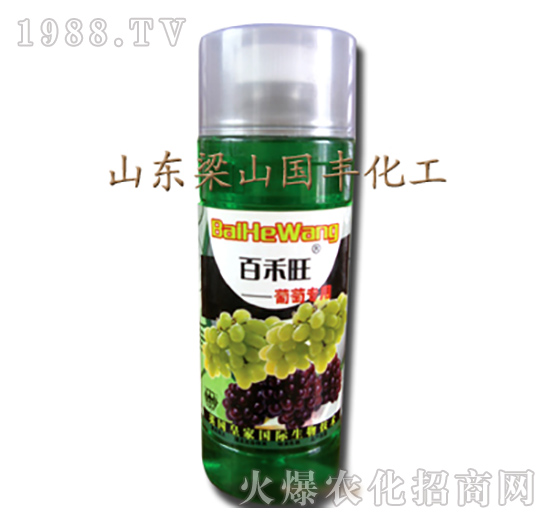 ���ь����~���-��ɽ��(gu��)�S