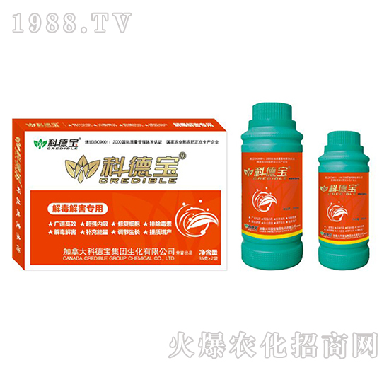 �ⶾ�⺦���àI(y��ng)�B(y��ng)���a(ch��n)�{(di��o)�턩-�Ƶ�