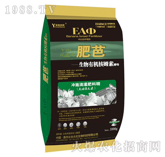 �ʰ�-���_(t��i)��