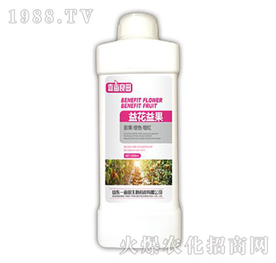 �滨���-Ҽ������