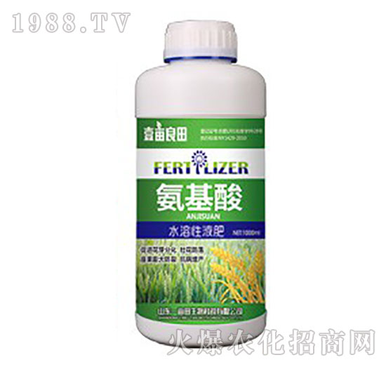 ������-Ҽ������