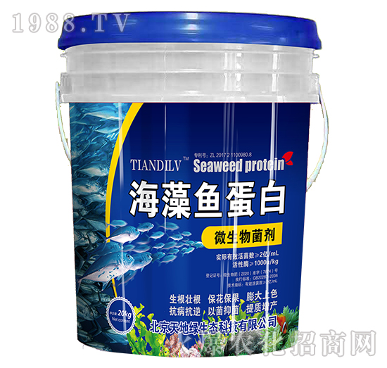 ΢�������-�����~(y��)����-��ؾG