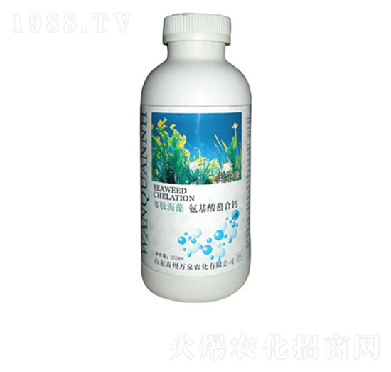 ���ĺ��������}-�f(w��n)Ȫ�r(n��ng)��