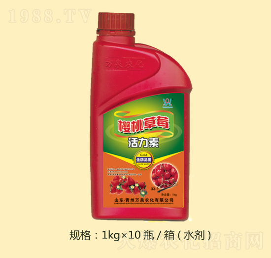 ���Ҳ�ݮ������-�f(w��n)Ȫ�r(n��ng)��