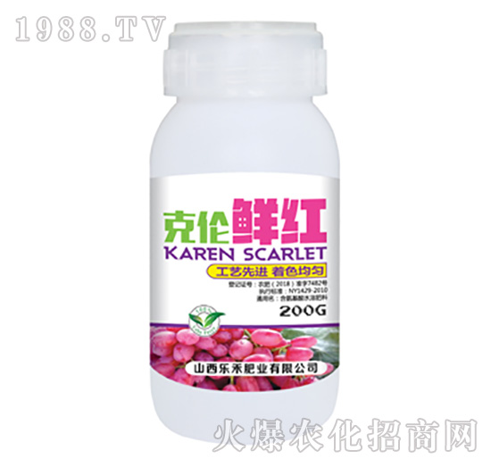 �˂��r�t-����