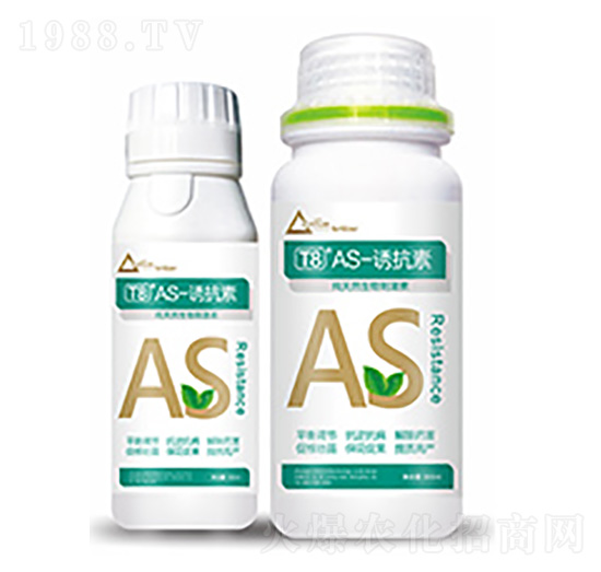 T8��AS-�T����-�����Ƽ�