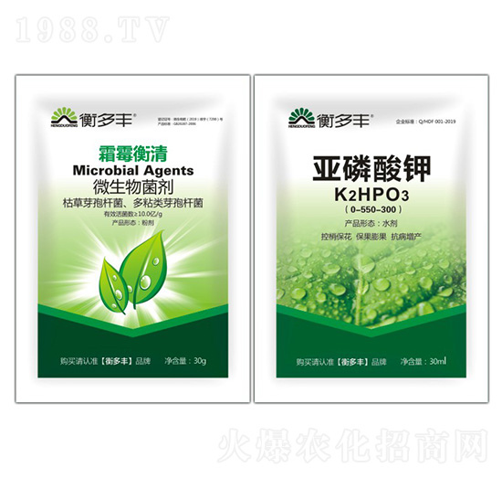 1+1�B����˪ù������-˪ù����-����S