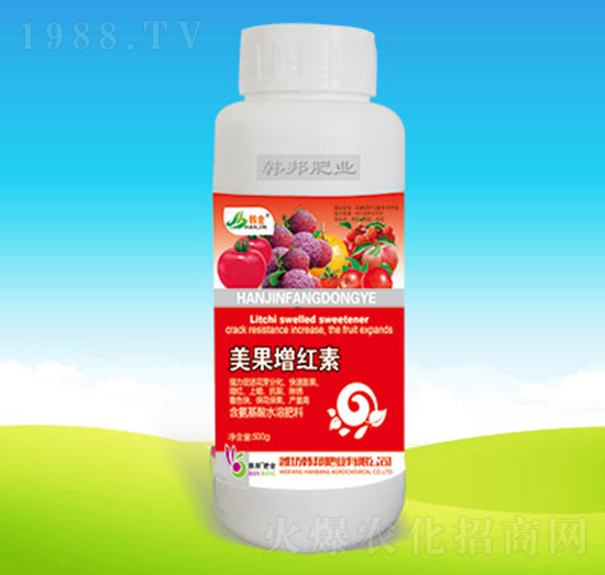 �������t��-�n��ʘI(y��)