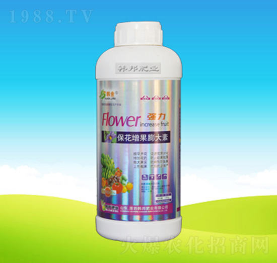 �������������-�n��ʘI(y��)