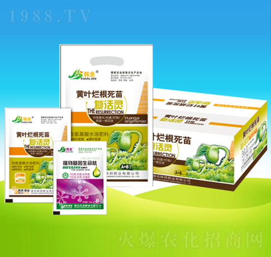 �S�~���������(f��)���`-�n��ʘI(y��)