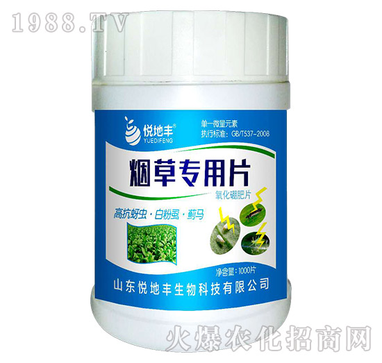 ���݌�(zhu��n)��Ƭ-�����S