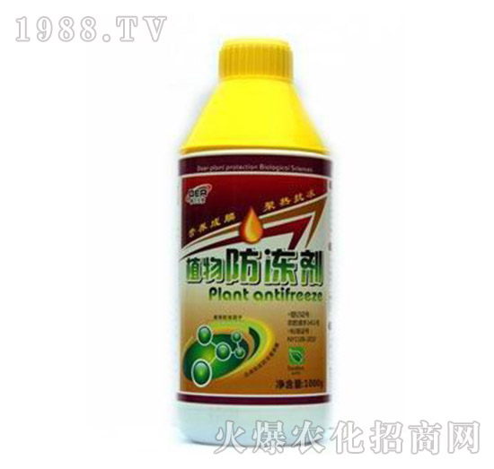 ֲ�������-��?t��ng)����? style=