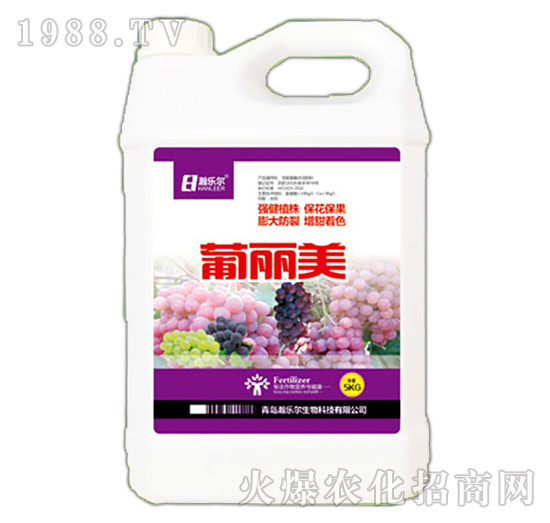 ������-嫘���